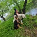 arrow-huntress avatar