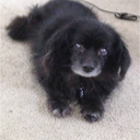 arrowsandangels avatar