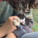 arsenic-popcorn avatar