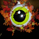 arsenichoneypuff avatar