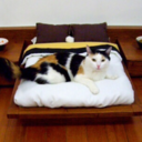 artandinteriors avatar