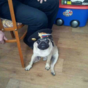 artemguskov72 avatar