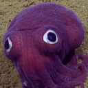 arterialsquid94 avatar