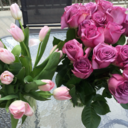 artforbreakfastt avatar