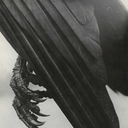 arthur-dents-sock-drawer avatar