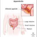 arthur-lesters-appendix avatar