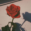 artificialxfeeling avatar