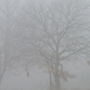 artistlostinthefog avatar