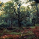 artofseanmurphy avatar