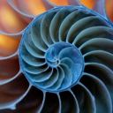 artsydreaming avatar