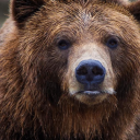 arturcrownover avatar