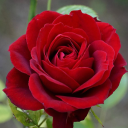 artworks-things avatar