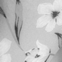 ascentofcoconutandcoffee avatar