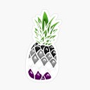 asexual-pineapple avatar