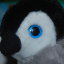 ashew-here-blog avatar