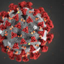 ask-an-epidemiologist avatar