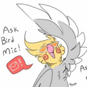 ask-bird-mic avatar