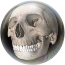 asked4themuna avatar