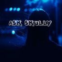 askskully-mh-blog avatar