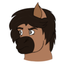 asmallhorseboi avatar