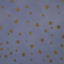 asongaboutpirates avatar