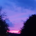 aspacebornfew avatar