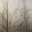 aspacetodream avatar