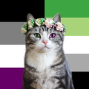 aspecyellingintothevoid avatar