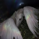 asphodelevans avatar