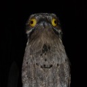 aspiringboytoy avatar