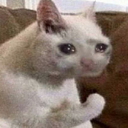 ass-eater-5000 avatar