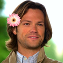 assbuttandpie avatar