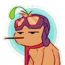 astrangelittlebirdblog avatar