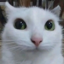 astridminsstuffie21 avatar