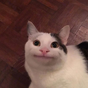 astro-noodles avatar