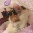 atchoopineapple avatar