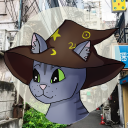 athena-cat-wizard-official avatar