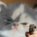 atinyboxofmusings avatar