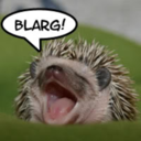 atinyhedgehog avatar