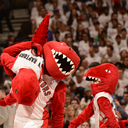 atlanticdivision-blog avatar