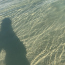 audreyy-green avatar