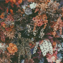 auriferousheart avatar