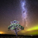 aurora-australis-tumbles avatar