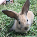 aurtisticmind avatar