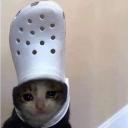 austereanxiety avatar