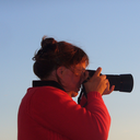 authormarialberg avatar