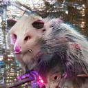 autistic-opossum avatar