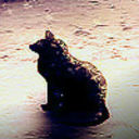 autumn-showers-bring-snowflowers avatar