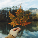 autumnal-ember avatar