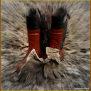 avalbuches-blog avatar